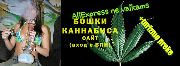 дживик Баксан
